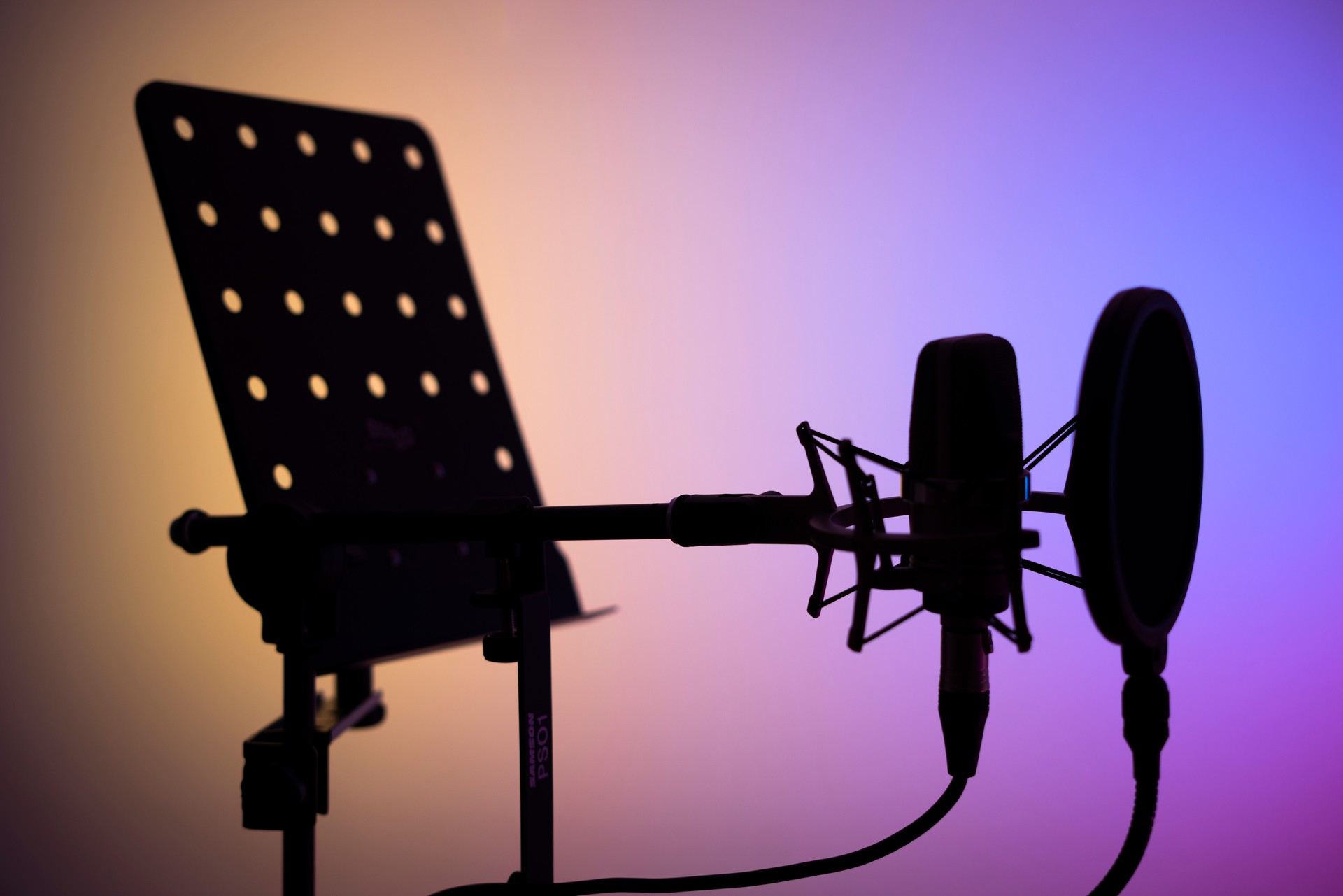 Voiceover studio large diaphragm cardioid microphone in professional voice recording studios.